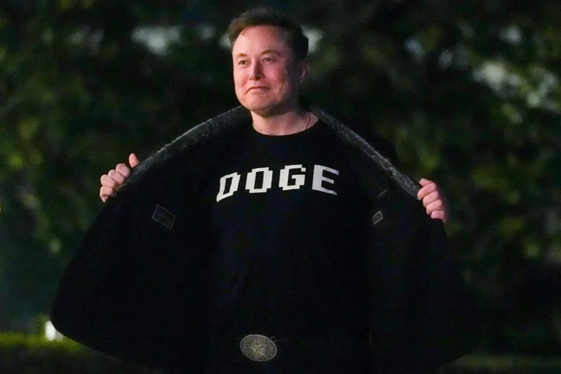 elon musk doge